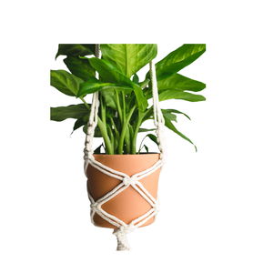 Suspension à plantes en macramé artificiel, panier suspendu pour plantes d'intérieur et d'extérieur, corde en coton macramé, décoration d'intérieur pour fournisseur indien - Product Image 4