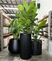 Pot de fleurs en céramique coréen pour succulentes et cactus, mini décoration colorée, design mignon, cadeau