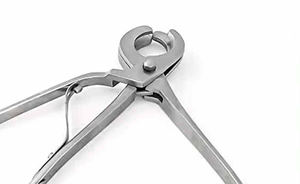 Pince de castration d'émasculateur Pince d'acier inoxydable d'instruments vétérinaires - Product Image 4