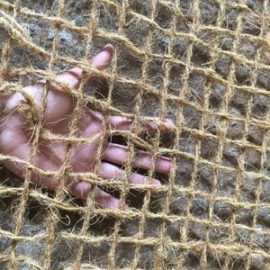 Vietchoice, Malla de Fibra de Coco 100% Hecha en Vietnam, Fabricante Mayorista, Precio Competitivo, Malla de Coco para Agricultura 18x18 36x36 - Product Image 3