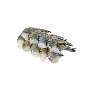 Camarones Tigre Negro Congelados de Alta Calidad (HLSO) listos para suministro global - Product Image 2