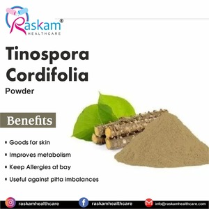 Proveedor directo de fábrica de polvo de proteína orgánica Tinospora Cordifolia suplemento natural saludable para adultos - Product Image 2