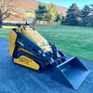 MINICARGADORA HUAYEE LHY680 EN VENTA - Product Image 3