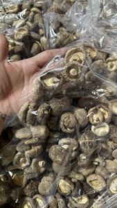 SETA SEDA PRODUCTO DE SETA CONGELADA DE ALTA CALIDAD - Product Image 4