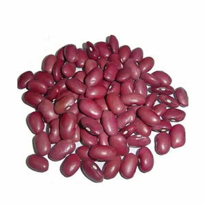 Wholesale Dried <b>Red</b> Kidney Beans - Product Image 1