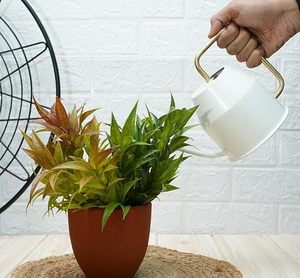 Arrosoir blanc au design minimaliste et élégant, une touche de simplicité pour vos plantes - Product Image 1