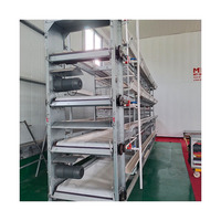 Système d'élevage de poulets automatique à haute efficacité, cage à volailles de type H pour l'élevage moderne