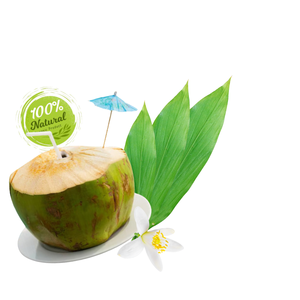 Hidratación de coco fresco vietnamita de los trópicos Producto agrícola Premium - Product Image 4