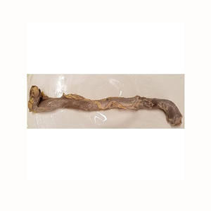 Nutritif 24 Mois Top Produits de Volaille Rôtie Vente Fournisseur Congelé Origine Traitement Congelé Frais Pas Cher Oesophage de Porc Congelé - Product Image 3