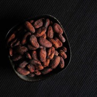 Fèves de cacao vertes de qualité supérieure, variété ARIBA, goût naturel, 25 kg, en vrac, disponibles à la vente, prix compétitifs directement de l'usine
