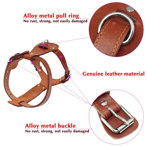 Arnés de diseño personalizado con herrajes resistentes, material transpirable, ajuste cómodo y seguro para actividades activas. - Product Image 5