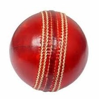 Ensemble de tenue de cricket pour jeunes et adultes, maillot d'équipe personnalisé, pantalon et pull, couleur de la balle de cricket, balle de cricket haute performance