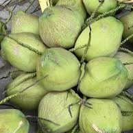 Polpa de Coco Fresca Tailandesa Premium - Naturalmente Dulce y Lista para Beber para Refrescarse en Cualquier Momento y Lugar