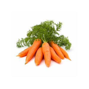 Zanahorias crujientes y limpias envasadas a granel para mercados internacionales - Product Image 4