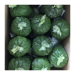 Hoja de yuca congelada de alto grado de Vietnam | Hoja de yuca picada a granel para procesamiento de alimentos, cocina y distribución de exportación - Product Image 4