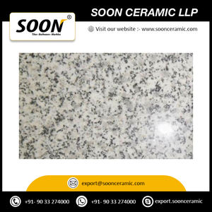 La mayor venta de losa de granito blanco Jeerawal de piedra natural especialmente bueno para aplicaciones de pared y suelo interior exterior - Product Image 2