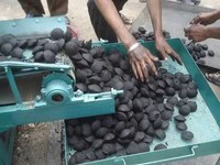 Charbon de bois en briquettes de coque de noix de coco de forme oreiller, fabriqué à la machine, vert feu, blanc cendre, du fabricant vietnamien, 3-4 heures