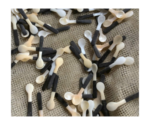 Cuillère à coquillage écologique du désert avec bougie sculptée à la main Grossiste cuillère à coquillage du Vietnam - Product Image 1