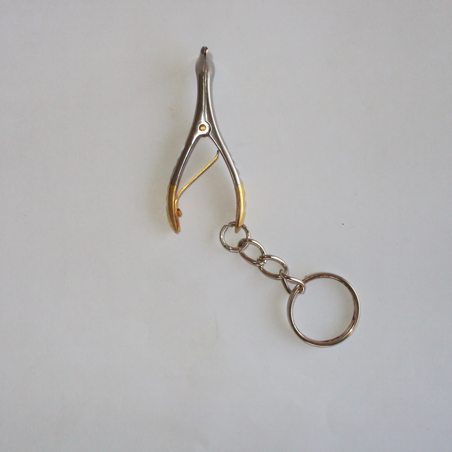 Dental Tooth LED Luxury Keychain Stainless Steel Custom Engraved Design Earth Day Gift for Clinic Staff Professionals