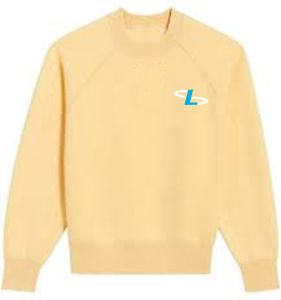 Vêtements décontractés Homme Sweat-shirt Col en O Sweat-shirt grande taille - Product Image 6