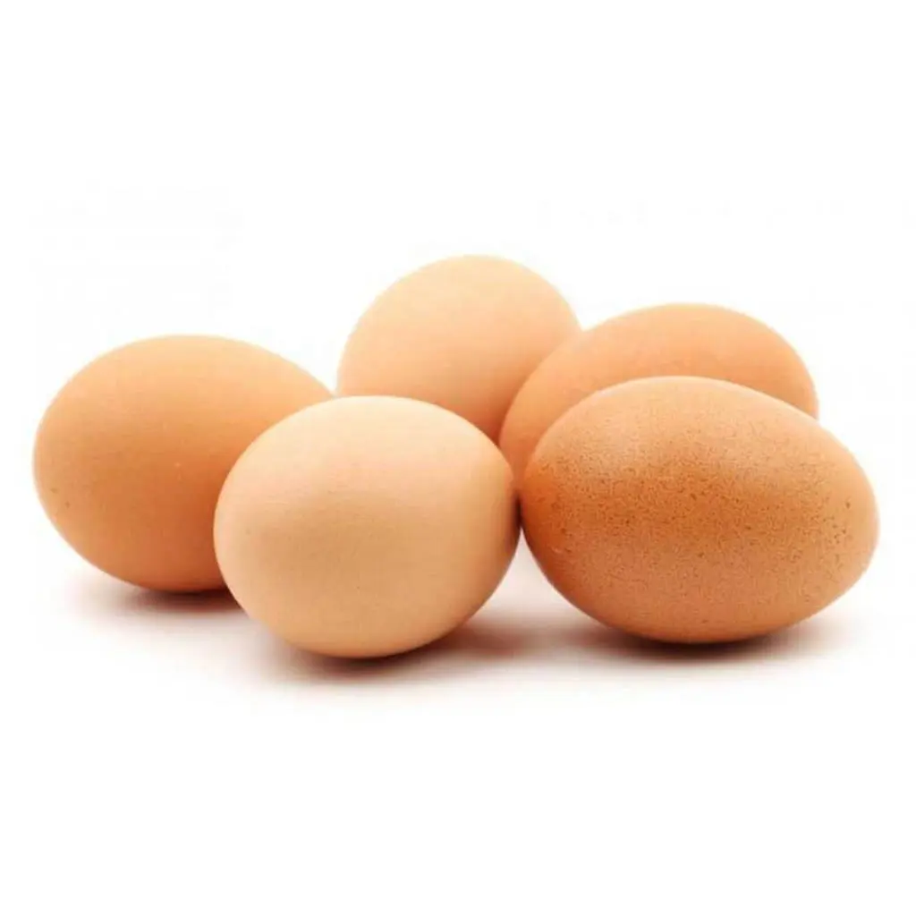 Farm Fresh Chicken Table Eggs Brown und White Shell Chicken Eggs