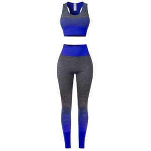 Costumes de yoga à manches longues sans couture pour femmes New Hip Lift Gym Fitness Wear Sets Size-Specific Fitness Leggings Washed - Product Image 5