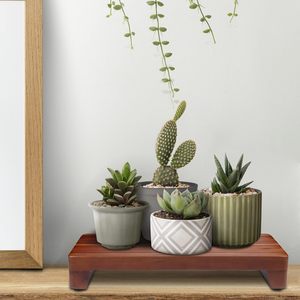 Bandeja Redonda de Madera de Acacia Ecológica, Soporte Elevador para Decoración de Baños, como Jabones, Plantas, Velas, Bodas - Product Image 4