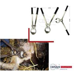 คีมตัดอวัยวะเพศแพะแบบหนัก รุ่น CVIAS ผลิตจากสแตนเลส สำหรับสัตวแพทย์ ได้รับมาตรฐาน CE ISO - Product Image 3