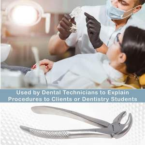 Fórceps de extracción dental manual de raíces superiores Instrumentos para cirugía dental y extracción - Product Image 1