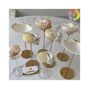 ถ้วยเปลือกหอยหอยทากธรรมชาติ/แก้วไวน์เปลือกหอยที่สวยงาม/ถ้วยหอยทากมีสไตล์เหมาะสำหรับของหวานงานแต่งงานหรือของสะสมที่ไม่เหมือนใคร - Product Image 3