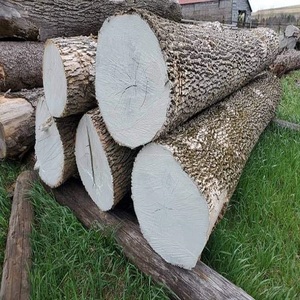 LOG Kayu Buatan Harga Rendah LOG Kayu Akasia