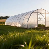 Serre de jardin populaire en PE monocouche avec structure en aluminium, porte simple, ÉCOLOGIQUE, pour fleurs et graines