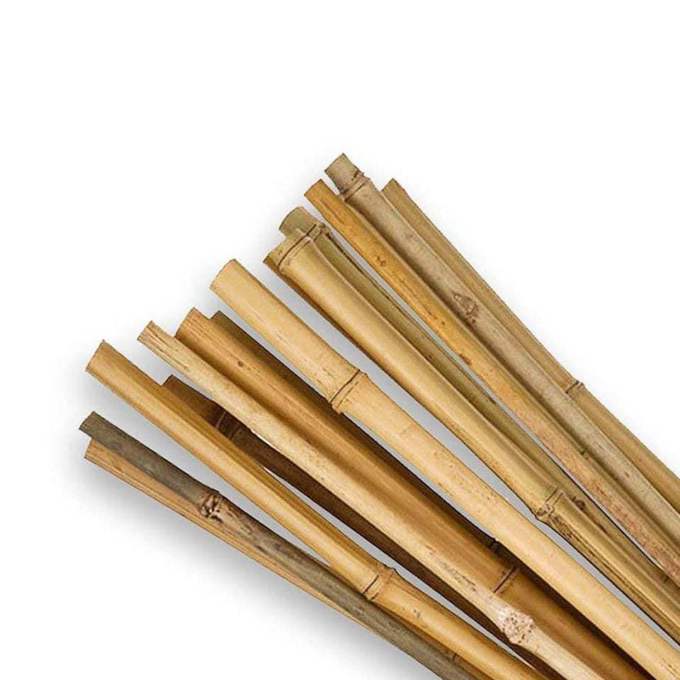 High quality 100% natural bamboo poles bamboo cane sticks from Vietnam wholesale to export