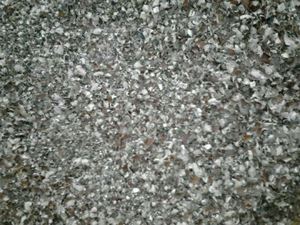 แกลบเม็ดมะม่วงหิมพานต์จากเวียดนาม - Product Image 4