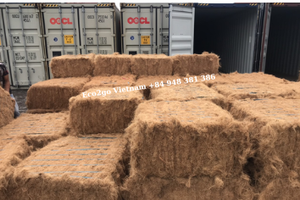 Fibre de coco naturelle biodégradable, bon prix et haute qualité par Eco2go Vietnam - Product Image 5