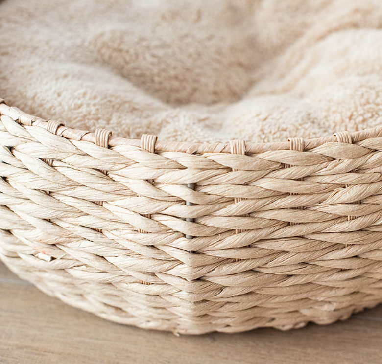 ธรรมชาติตามธรรมชาติ