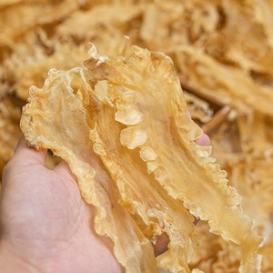 Vente en gros de vessies de poisson séchées : vessie de morue séchée et vessie de poisson Arowana séchée de qualité supérieure, provenant d'un fournisseur vietnamien - Product Image 2