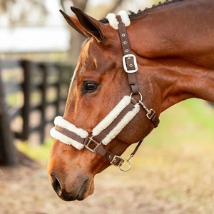 Cabestro para Caballo de Alta Resistencia, Diseño Ajustable y Duradero para un Fuerte Control, Entrenamiento, Manejo en Establos y Uso Ecuestre Diario - Product Image 3