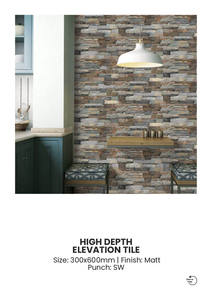 Carreaux de porcelaine pour l'extérieur, finition élévation, 300x600 mm - Product Image 5