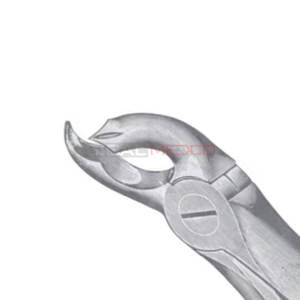 Fig. 26 Fórceps de extracción de dientes de diferentes tamaños Instrumentos médicos dentales Precio al por mayor Acero inoxidable - Product Image 5
