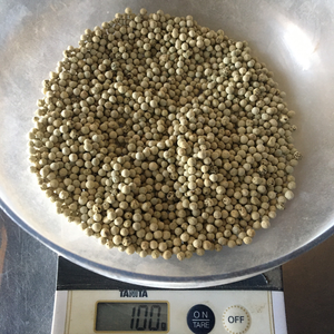 Vente en gros Herbe de poivre blanc biologique de haute qualité 2024 Tous les grades Forme entière Poivre noir Épice crue séchée Épices individuelles Herbes - Product Image 4