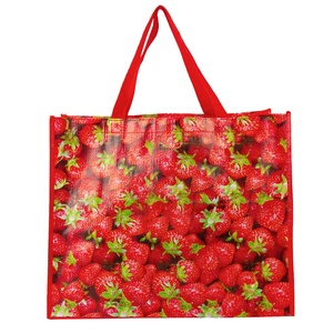 Custom Logo Extra Large Waterproof PP Woven Laminated Shopping Tote Bag for Promotions