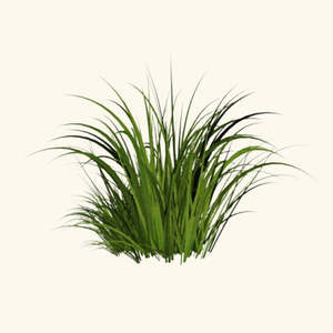 Huile aromatisante Khus pour bonbons liquides - Product Image 2