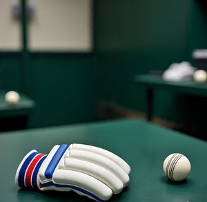 Guantes de cricket profesionales de alta calidad Bat Craze con diseño de logotipo personalizado Equipo de bateo profesional - Product Image 1