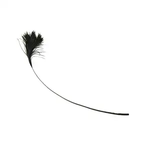 Dyed Best Ostrich Feathers Drabs Tips bulk Naturl Ostrich Feathers for Decoration