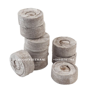 ถุงเพาะต้นโกโก้สำหรับเพาะเมล็ดที่มีคุณภาพสูง - Product Image 2