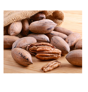 Noix de pécan à vendre noix de pécan naturelles fraîches et croquantes idéales pour la cuisson ou les collations maintenant à très bas prix - Product Image 6