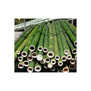 Wholesale Bamboo <b>Poles</b> <b>for</b> Construction & Building Materials - Natural Strong Straight Bamboo <b>Pole</b> <b>Gardening</b> Free Tax - Product Image 2
