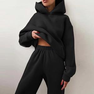 Trendy Women Tracksuit with Slim Fit Top and Pants for Sport Running Gym Workout or <b>Travel</b> Occasions - Product Image 5
