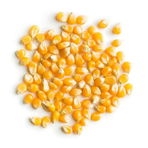 Maíz amarillo seco no GMO, maíz blanco para alimentación humana y Animal, asequible - Product Image 3